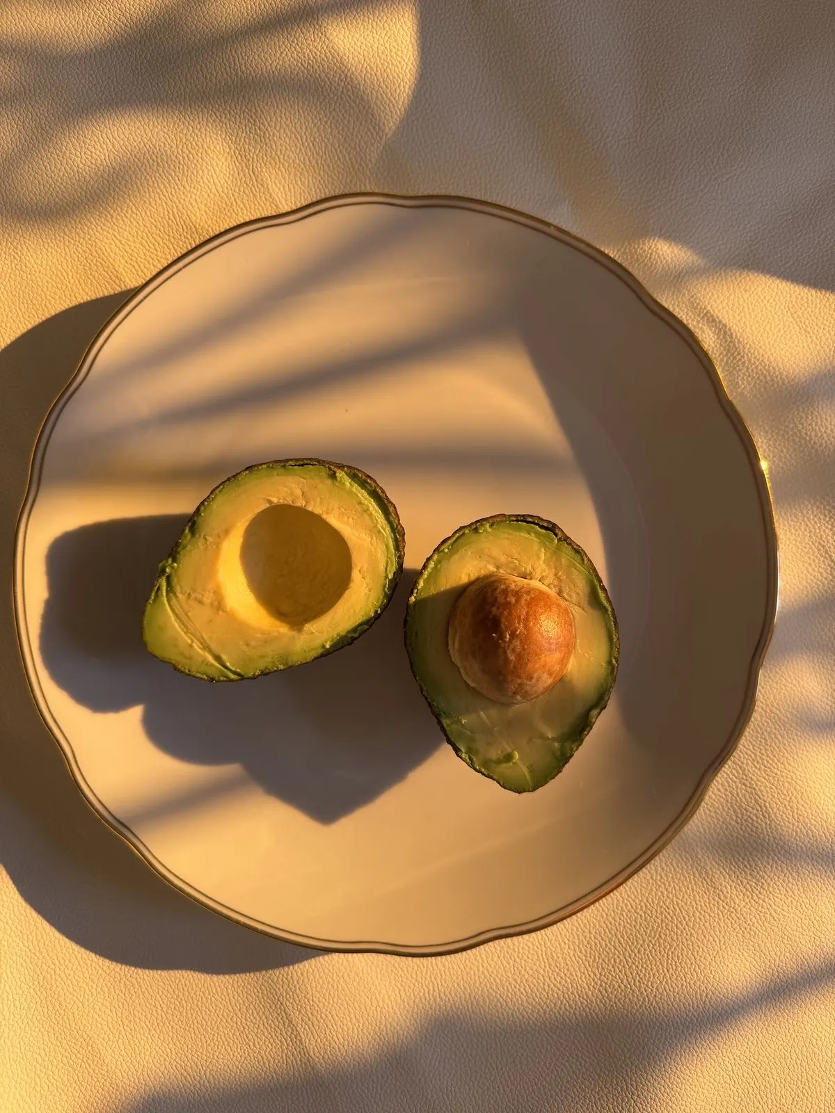 Aguacate luz dorada